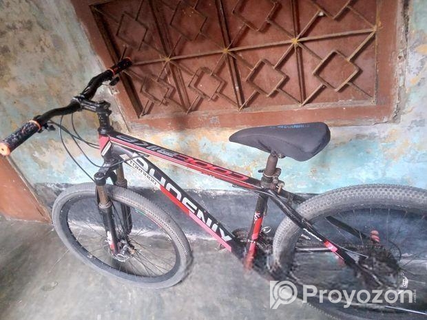 Bicycle For Sell
