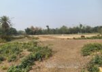 ৮৬০০০ স্কয়ারফিট এগ্রোবেইজ জমি ভাড়া শ্রীপুরে