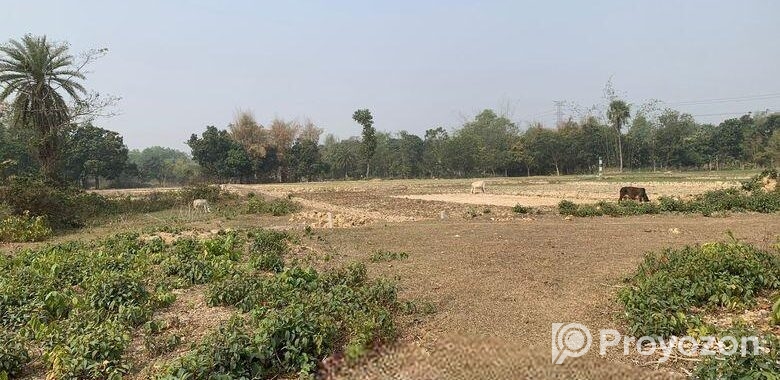 ৮৬০০০ স্কয়ারফিট এগ্রোবেইজ জমি ভাড়া শ্রীপুরে