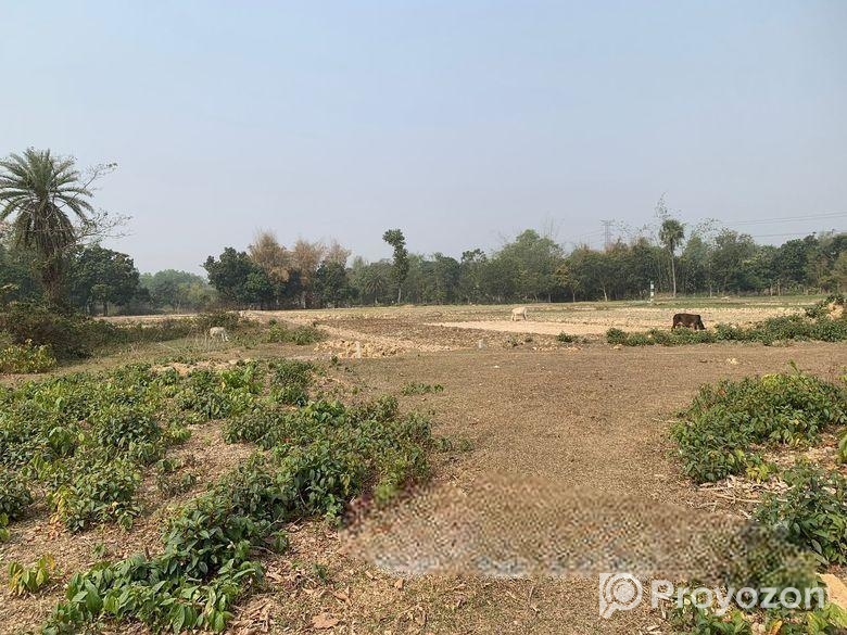 ৮৬০০০ স্কয়ারফিট এগ্রোবেইজ জমি ভাড়া শ্রীপুরে