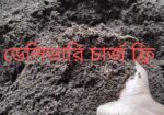 কেঁচো সার বা ভার্মি কম্পোস্ট