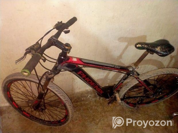 বাইসাইকেল