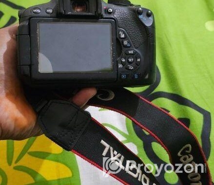 Canon 700 D with 55-250 Zoom Lense