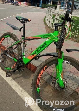 Phoenix Bicycle for sale