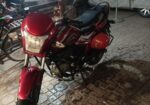 Runner Royal Plus 2019