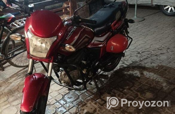 Runner Royal Plus 2019