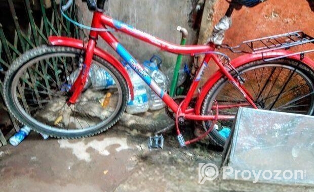 সাইকেলটি দেখতে নতুনের মতো