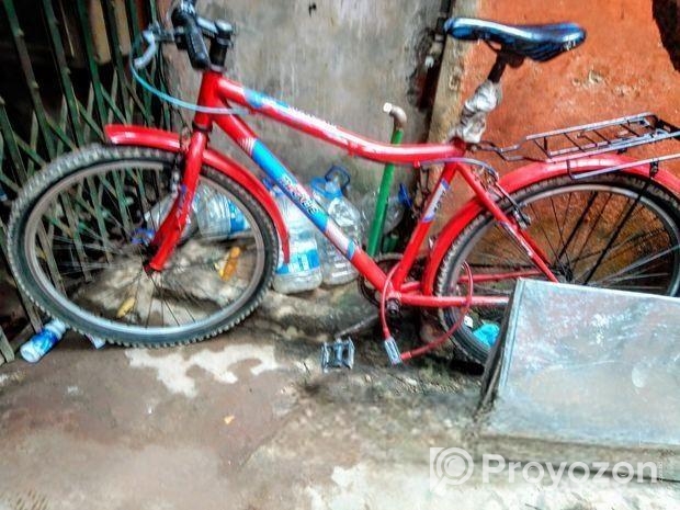 সাইকেলটি দেখতে নতুনের মতো