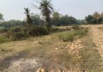 ৮৬০০০ স্কয়ারফিট এগ্রোবেইজ জমি ভাড়া শ্রীপুরে