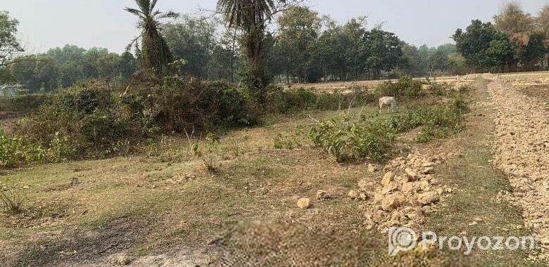 ৮৬০০০ স্কয়ারফিট এগ্রোবেইজ জমি ভাড়া শ্রীপুরে
