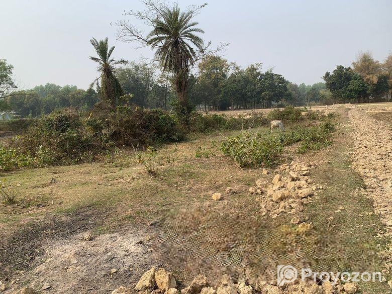 ৮৬০০০ স্কয়ারফিট এগ্রোবেইজ জমি ভাড়া শ্রীপুরে