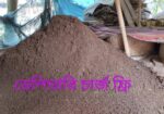 কেঁচো সার বা ভার্মি কম্পোস্ট
