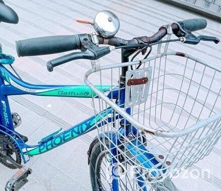 Cycle for sale