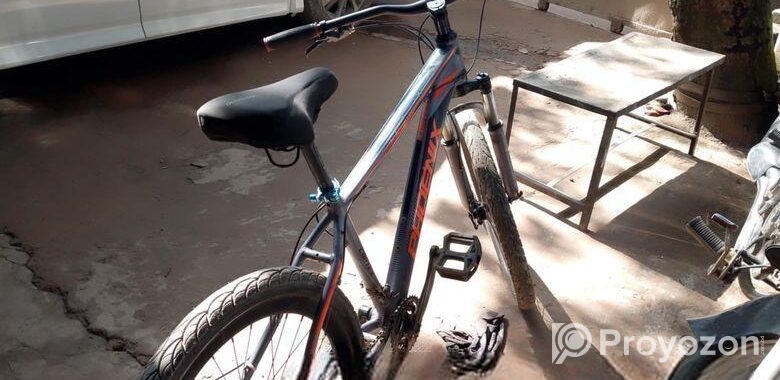 Bicycle