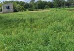 Land sell