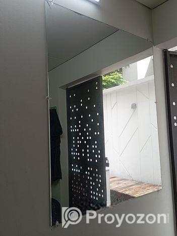 ওয়াশ রুমের আয়না