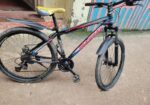 Phoenix Bicycle for sale