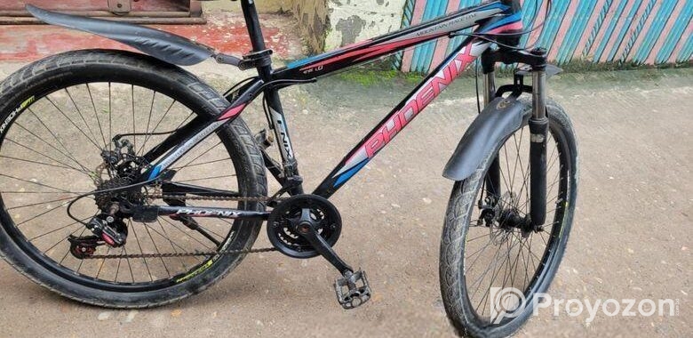 Phoenix Bicycle for sale