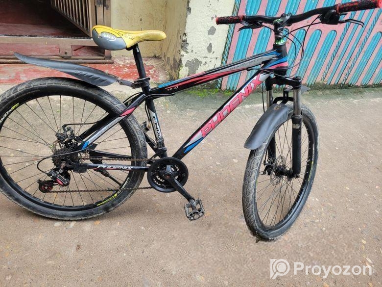 Phoenix Bicycle for sale
