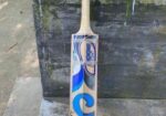 CA PLUS 8000 English Willow