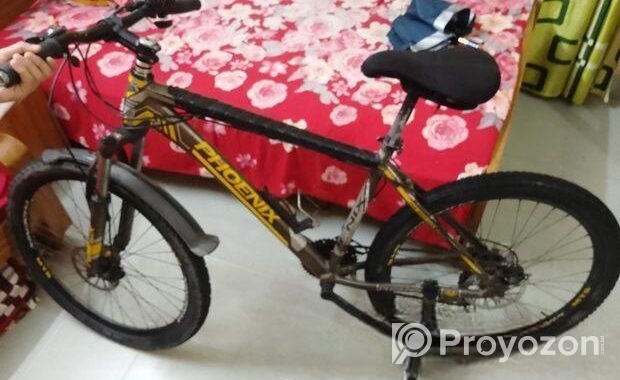 Phonix Cycle