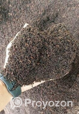 আধুনিক কৃষি পণ্য এবং চারা