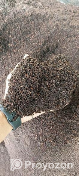 আধুনিক কৃষি পণ্য এবং চারা