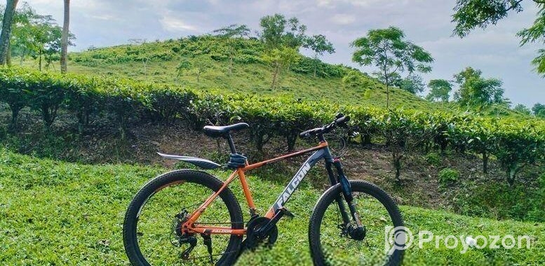 Falcon Cycle