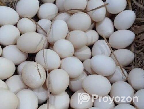 দেশি মুরগির ডিম বিক্রয় করা হবে
