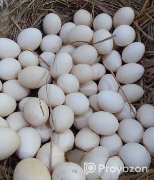 দেশি মুরগির ডিম বিক্রয় করা হবে