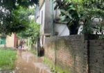 House for sell
