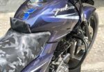 Bajaj Pulsar Single Disk 2017