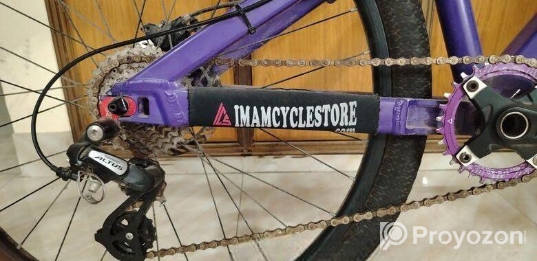 boarse sun 6.1 custom build bicycle