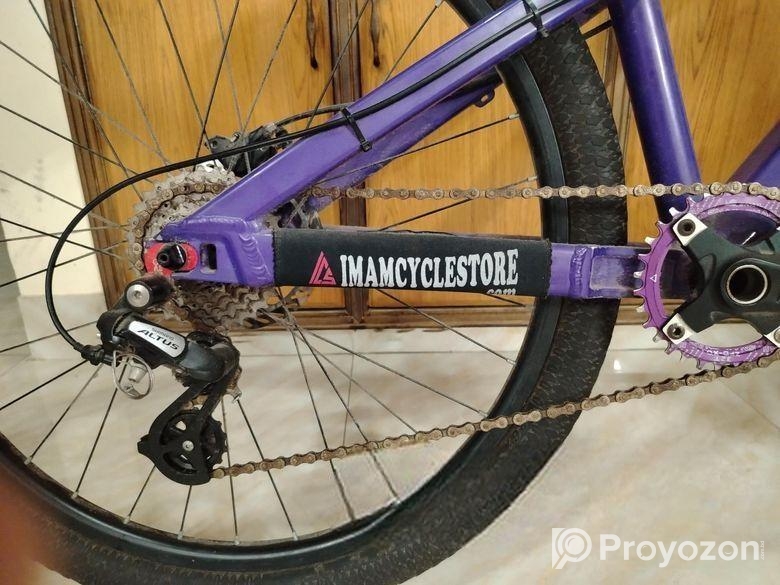 boarse sun 6.1 custom build bicycle