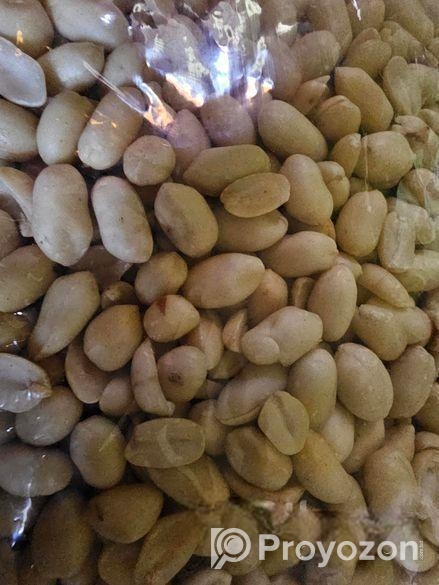 বড় সাইজের চিনা বাদাম