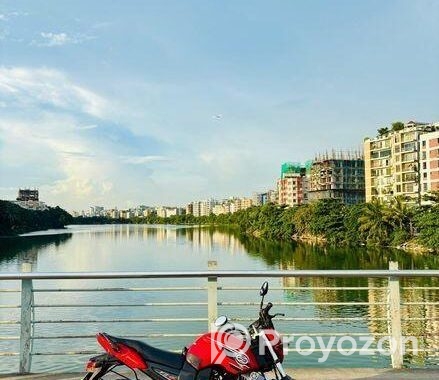 Yamaha FZS Dual Tone 2013