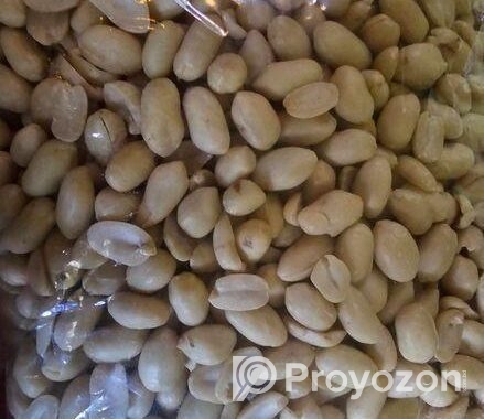 বড় সাইজের চিনা বাদাম