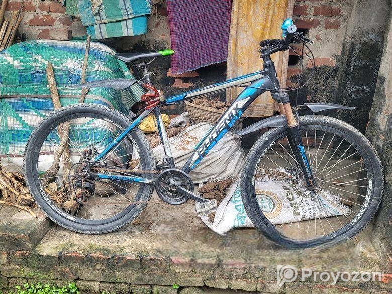 Bicycle for Sale