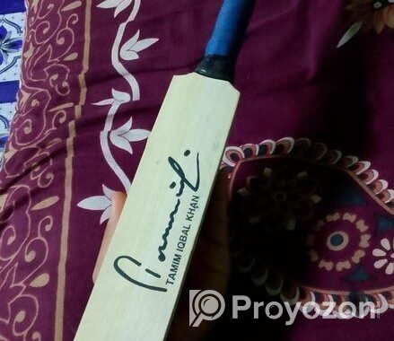 Cricket bat