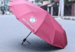BMW UMBRELLA (AUTO LOCK) 12 Ribs.