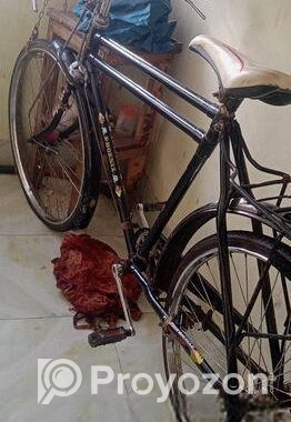 Bicycle for sell