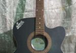 Signature Guitar