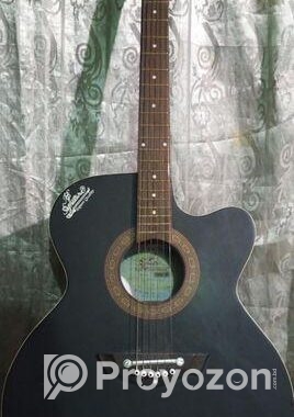 Signature Guitar