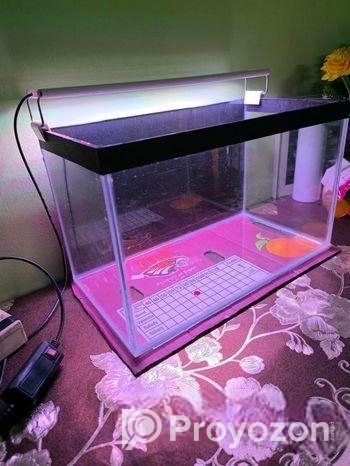 Aquarium Tank