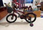 Cycle for sell