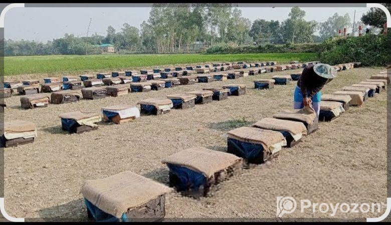 মধু পাওয়া যায়