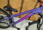 boarse sun 6.1 custom build bicycle
