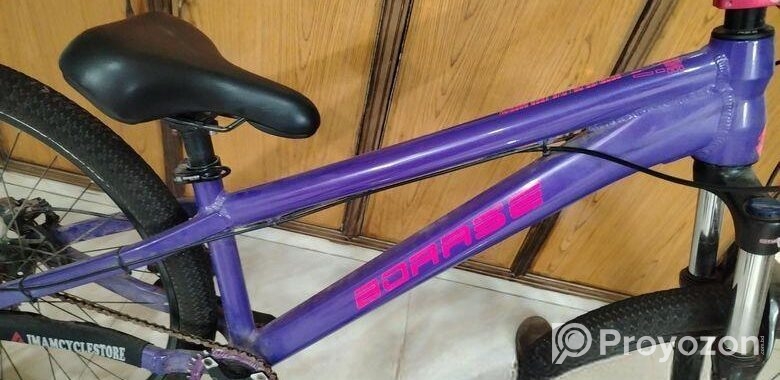 boarse sun 6.1 custom build bicycle