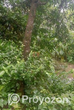 জমি বিক্রয়