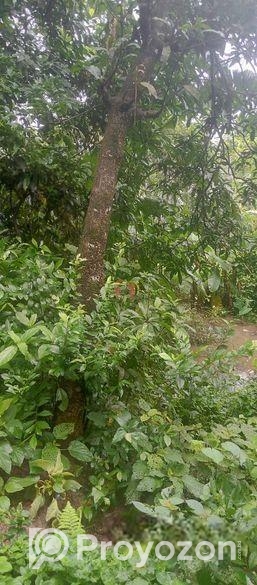 জমি বিক্রয়